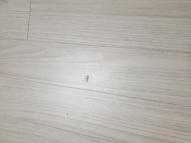 마루찍힘복원 사례 4 복원 전 현장